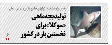  تولید بچه‌ماهی «سوکلا» برای نخستین بار در کشور
