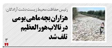 هزاران بچه ماهی بومی در تالاب هورالعظیم تلف شد