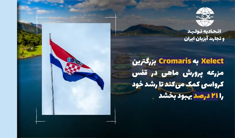 Xelect به Cromaris بزرگترین مزرعه پرورش ماهی در قفس کرواسی کمک می‌کند تا رشد خود را 21 درصد بهبود بخشد