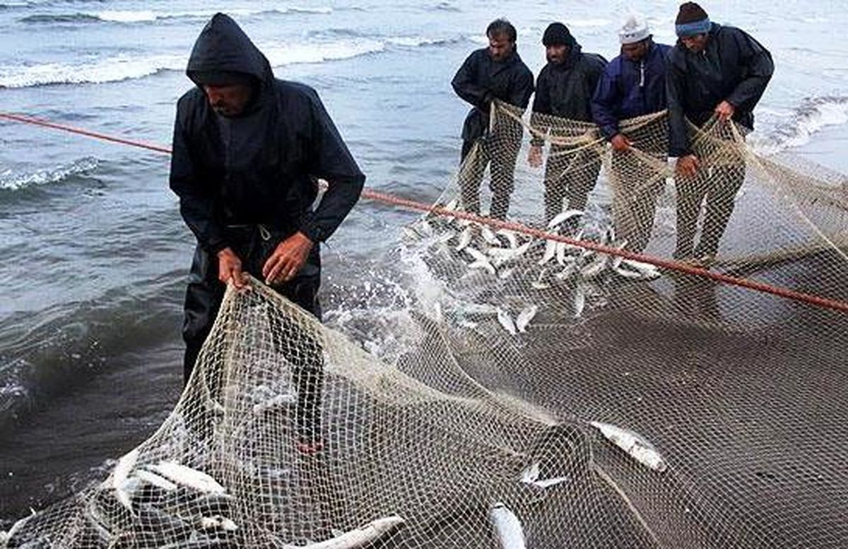 ضرورت توسعه آبزی پروری پایدار با مدیریت صید غیر مجاز