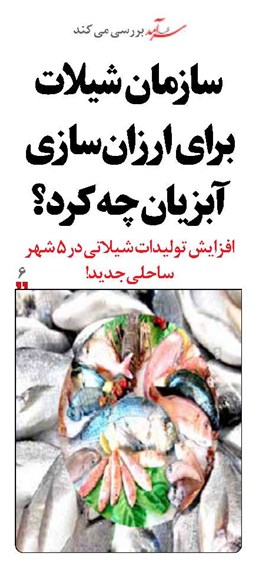  سازمان شیلات برای ارزان‌سازی آبزیان چه کرد؟