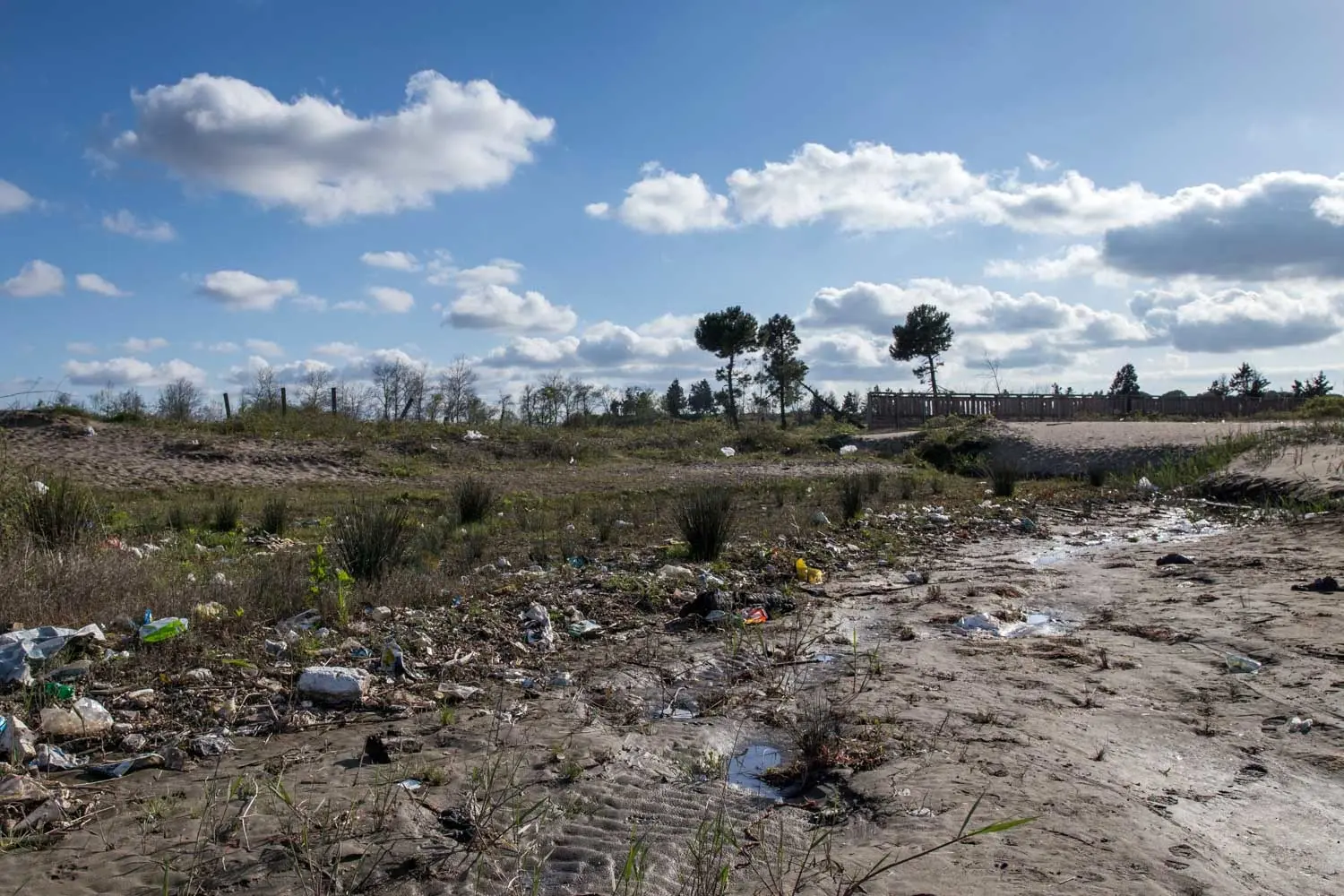 چه بر سر بزرگ ترین دریاچه دنیا آورده ایم؟