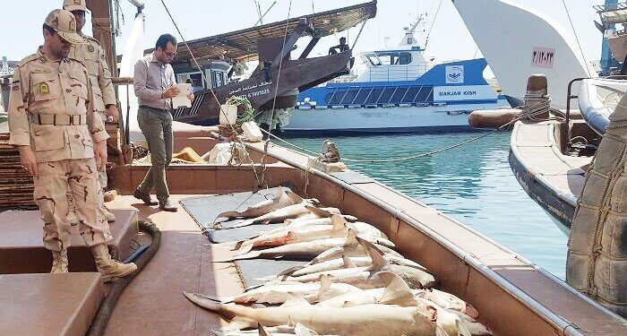  شناور‌ها توقیف شدند