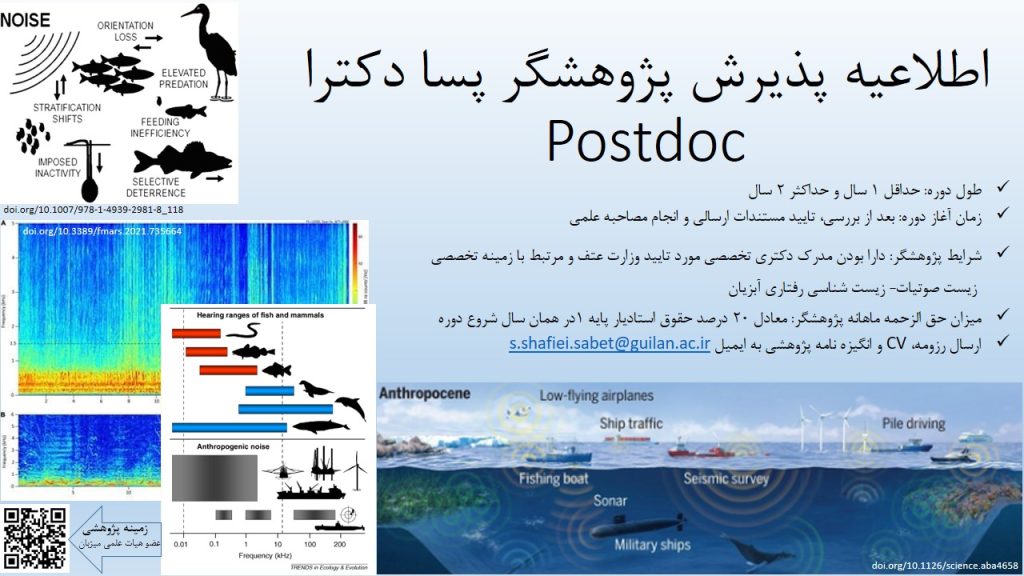 فرصت پسا دکتری برای دانشجویان علاقمند به مطالعات زیست صوتیات و رفتارشناسی آبزیان