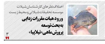 ورود هيات مقررات زدايي به بحث توسعه پرورش ماهی «تيلاپيا»