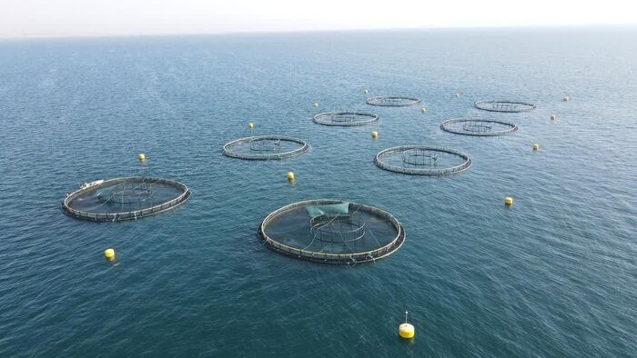 دولت می‌خواهد مازندران را با تکیه بر دریا توسعه دهد