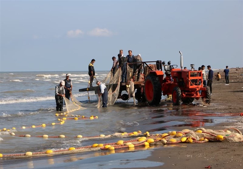 ظرفیت‌های عظیم شیلات در گیلان