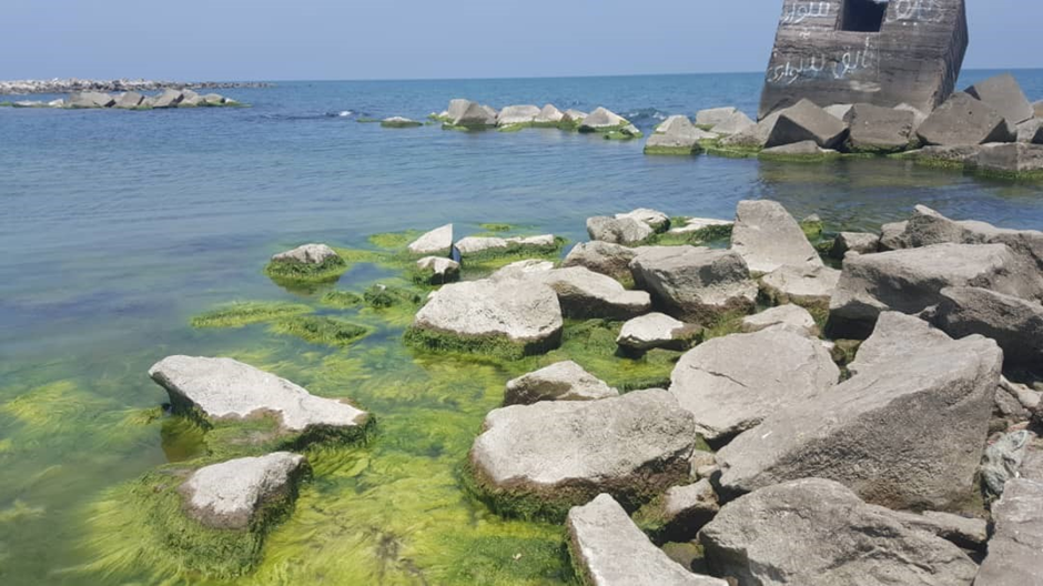 نشست باکو برای حفاظت از دریای خزر برگزار شد