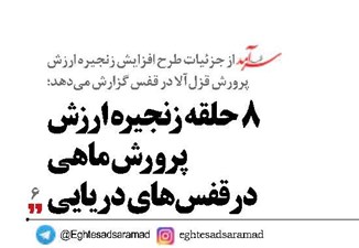 8 حلقه زنجیره ارزش پرورش ماهی در قفس‌های دریایی