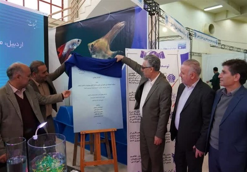 شیلات اردبیل نیازمند سرمایه است