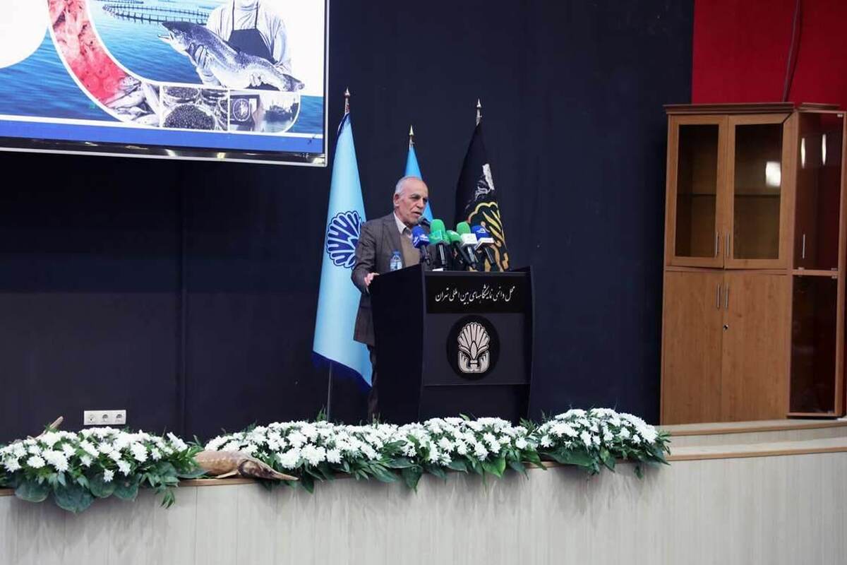 شیلات: کلید توسعه پایدار و سلامت جامعه