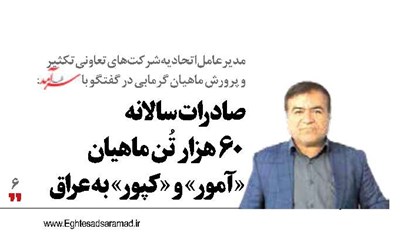 صادرات سالانه 60 هزار تُن ماهیان «آمور» و «کپور» به عراق