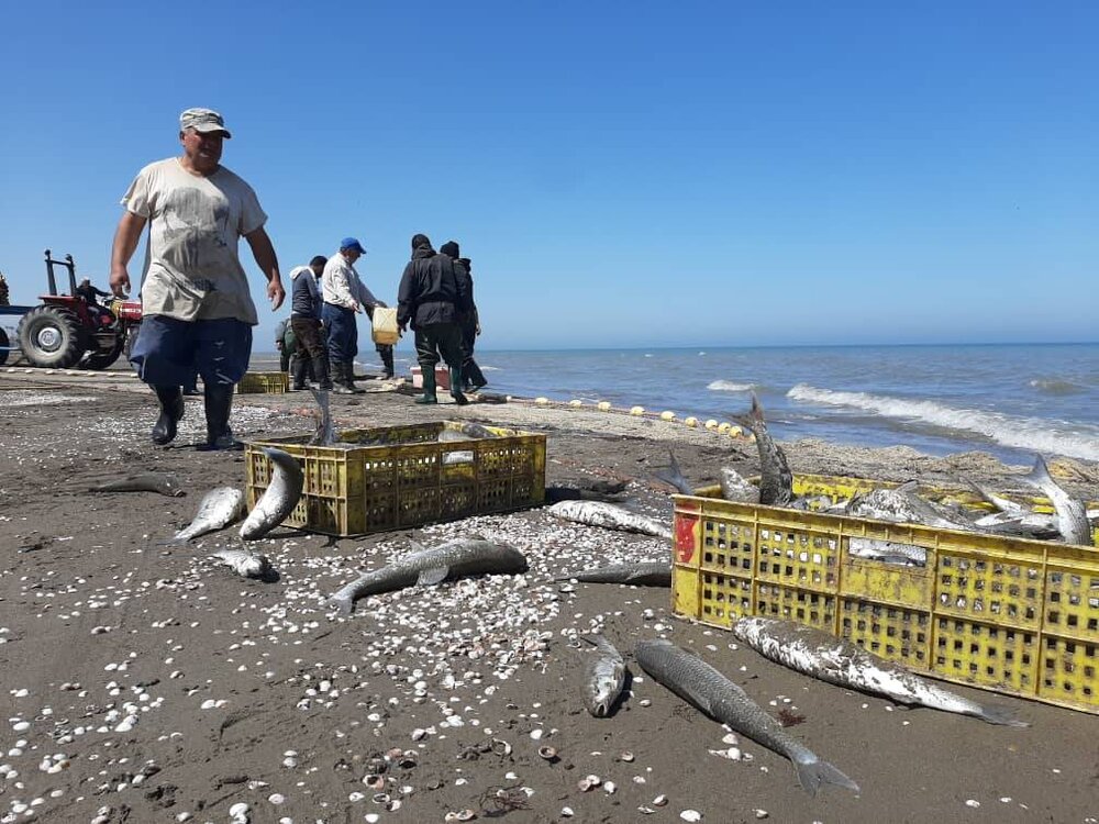 صیادان با احتیاط کامل به دریا بروند