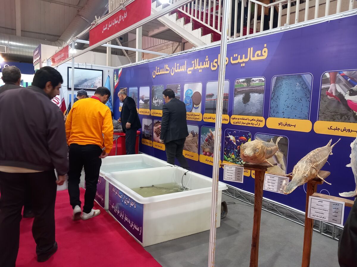 ۱۴۰ شرکت در نمایشگاه شیلات