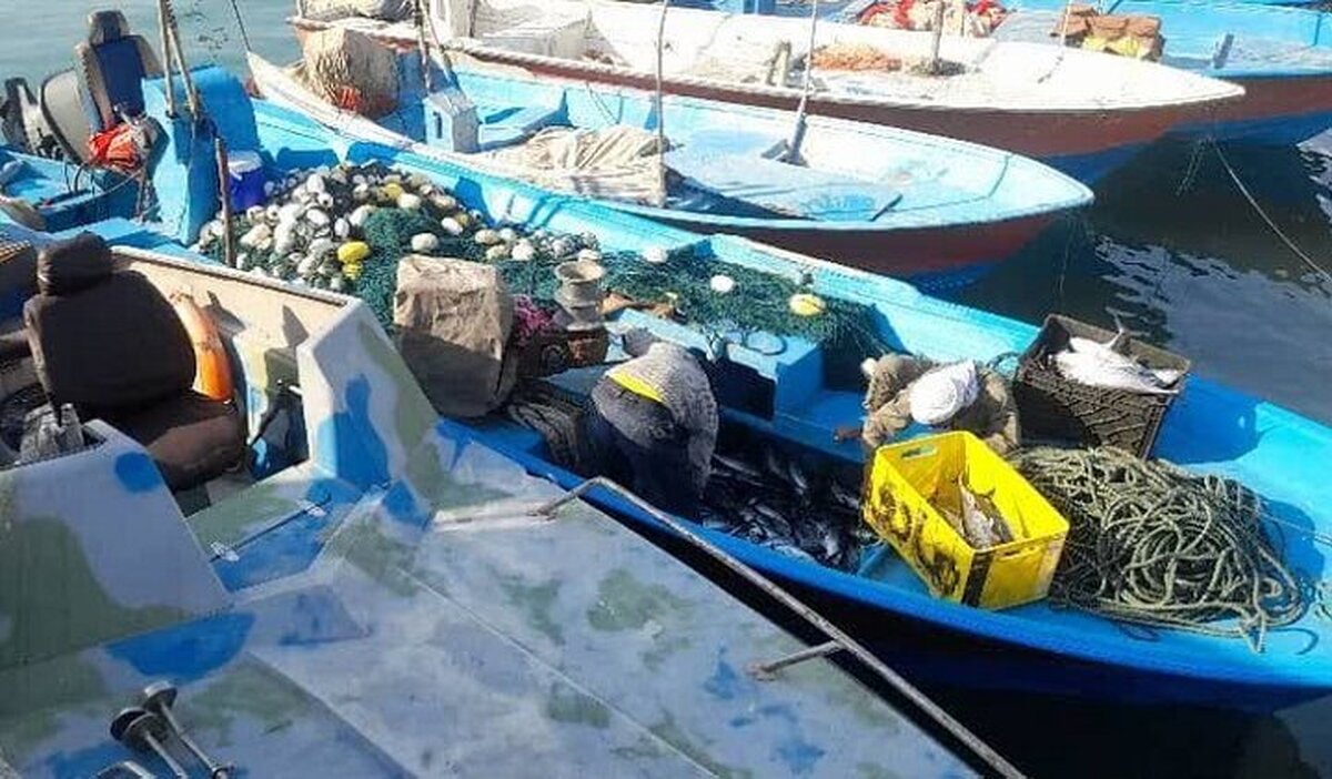 طرح هویت‌بخشی قایق‌ها در هرمزگان: ثبت بیش از 8 هزار شناور