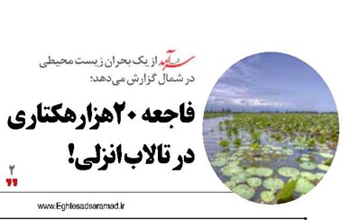 فاجعه  20 هزار هکتاری در تالاب انزلی!