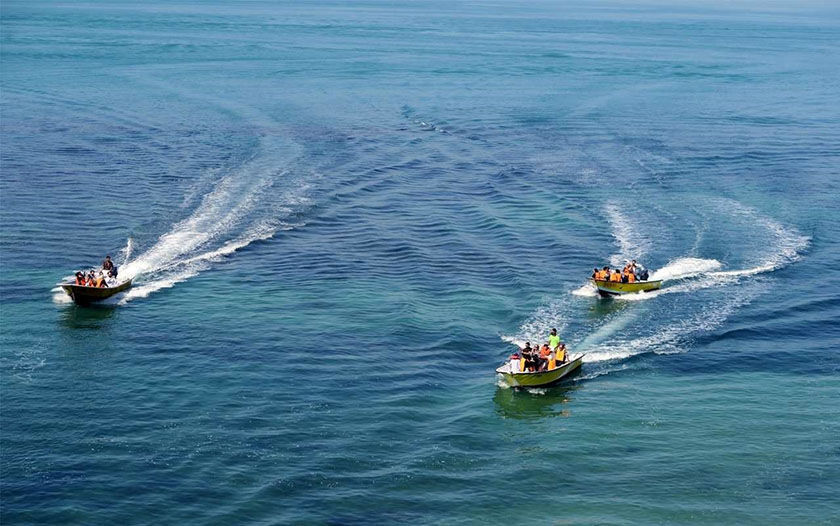 آمار گردشگری دریایی نوروز ۱۴۰۴ در استان بوشهر (اینفوگرافی)