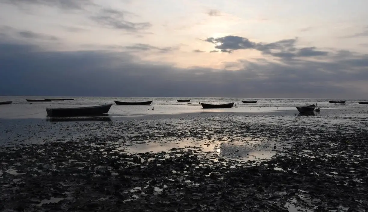 بحران دریای خزر؛ تهدید جدی برای حمل و نقل، محیط زیست و تالاب‌ های ایران