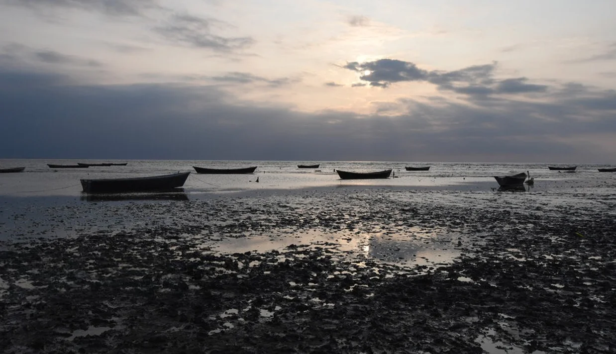 بحران دریای خزر؛ تهدید جدی برای حمل و نقل، محیط زیست و تالاب‌های ایران