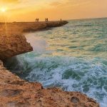 رفع تصرف ۸ هکتار از عرصه‌های طبیعی منطقه حفاظت شده نایبند