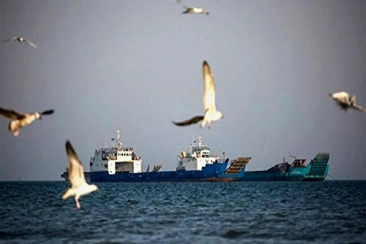 رفع خطر در ساحل بندرعباس