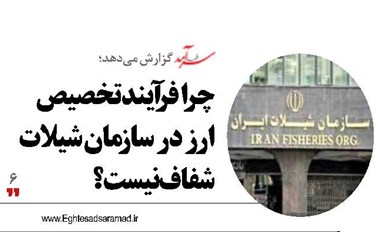 چرا فرآیند تخصیص ارز در سازمان شیلات شفاف نیست؟