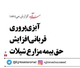 آبزی‌پروری قربانی افزایش  حق بیمه مزارع شیلات