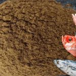 اخطاریه زیست‌محیطی برای کارخانه پودر ماهی میناب