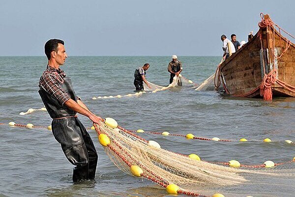 توسعه شیلات خوزستان: تاکید بر سرمایه‌گذاری، تحقیقات و بهره‌وری