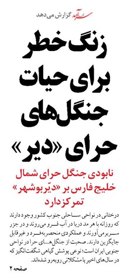 زنگ خطر برای حیات  جنگل‌های حرای «دیر»