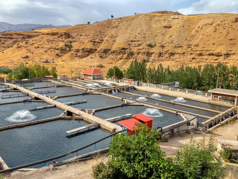 سرمایه‌گذاری برای توسعه شیلات و حفظ ذخایر آبزیان در آذربایجان غربی