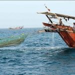 صید آبزیان در سواحل استان بوشهر ۱۰ روز ممنوع می‌شود