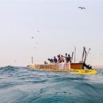 قشم، رتبه نخست صید ساردین‌ماهیان کشور را دارد