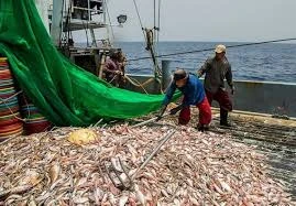 پیامدهای منفی تغییر قوانین تجارت دریایی