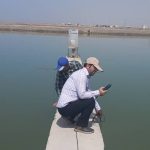 آغاز مرحله دوم طرح پایش مزارع پرورش میگوی هرمزگان
