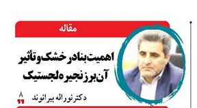 اهمیت بنادر خشک و تأثیر آن بر زنجیره لجستیک