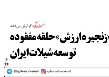 «زنجیره ارزش» حلقه مفقوده توسعه شیلات ایران