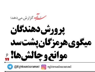 پرورش‌دهندگان  میگوی هرمزگان پشت سد موانع و چالش‌ها!