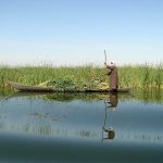 ۵۹ درصد تالاب هورالعظیم آبگیری شد