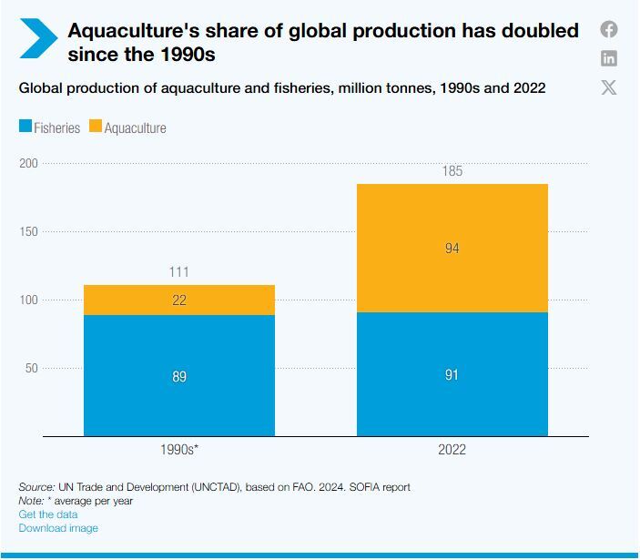 گزارش UNCTAD از اقتصاد دریایی ۲۰۲۵؛ تأکید بر اجرای معاهده آبی گزارش UNCTAD از اقتصاد دریایی ۲۰۲۵؛ تأکید بر اجرای معاهده آبی