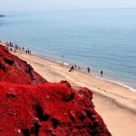 آغاز آموزش حفاظت محیط زیست جزیره هرمز در سراسر کشور