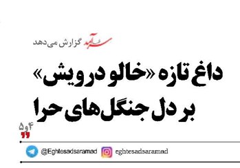 داغ تازه «خالو درویش» بر دل جنگل‌های حرا