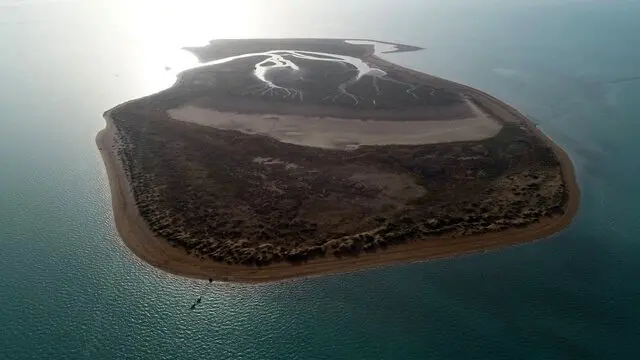 سواحل جنوب کشور میزبان دو منطقه تازه حفاظت‌شده دریایی شد