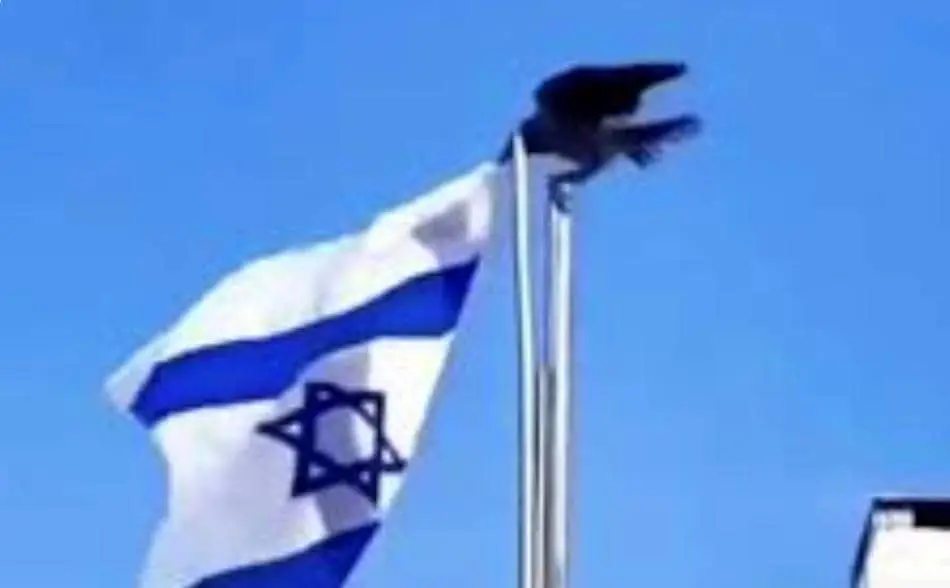 پیام یک کلاغ به صهیونیست‌ ها/ لزوم شناسایی عوامل نفوذی بیگانه و تقویت توانایی های سخت افزاری