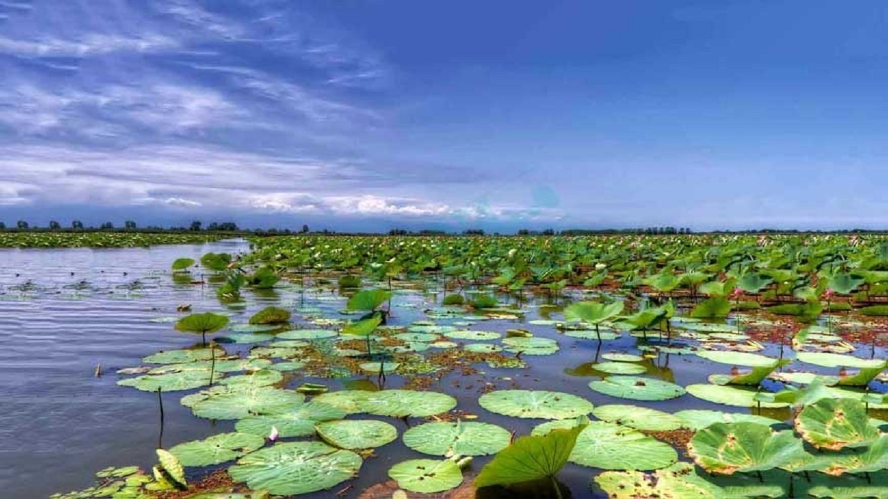 اطلس تالاب‌های ایران منتشر شد