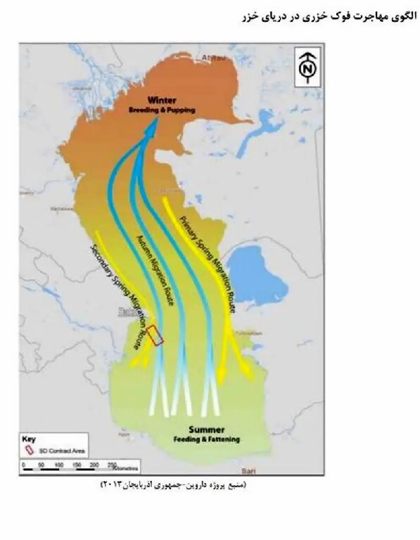 صدای خفته انقراض از اعماق خزر