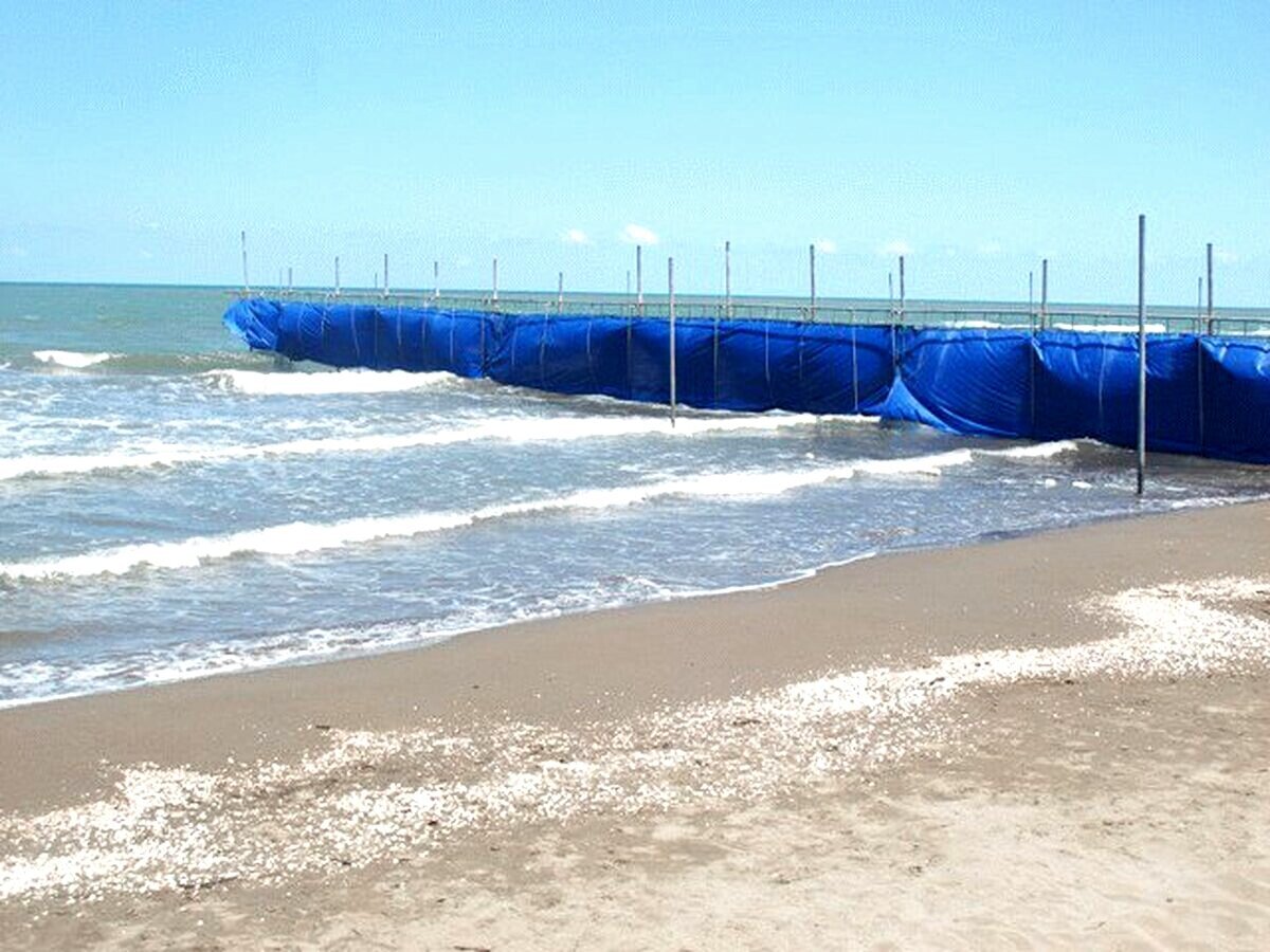 تعداد طرح‌های سالم‌سازی فعال دریای خزر به ۳۱ طرح رسید