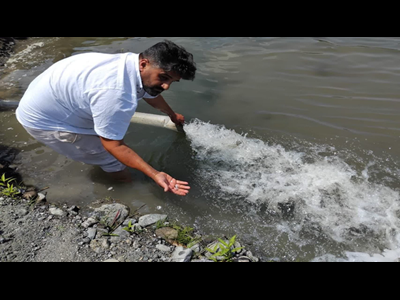 رهاسازی میلیون‌ها بچه‌ماهی در رودخانه‌های گیلان