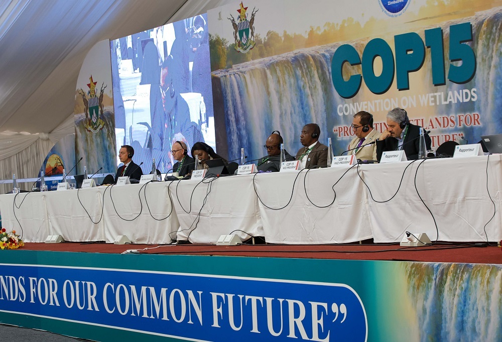 نماینده ایران «نائب رییس کنفرانس» نشست عمومی کشورهای متعهد کنوانسیون رامسر شد نماینده ایران «نائب رییس کنفرانس» نشست عمومی کشورهای متعهد کنوانسیون رامسر شد