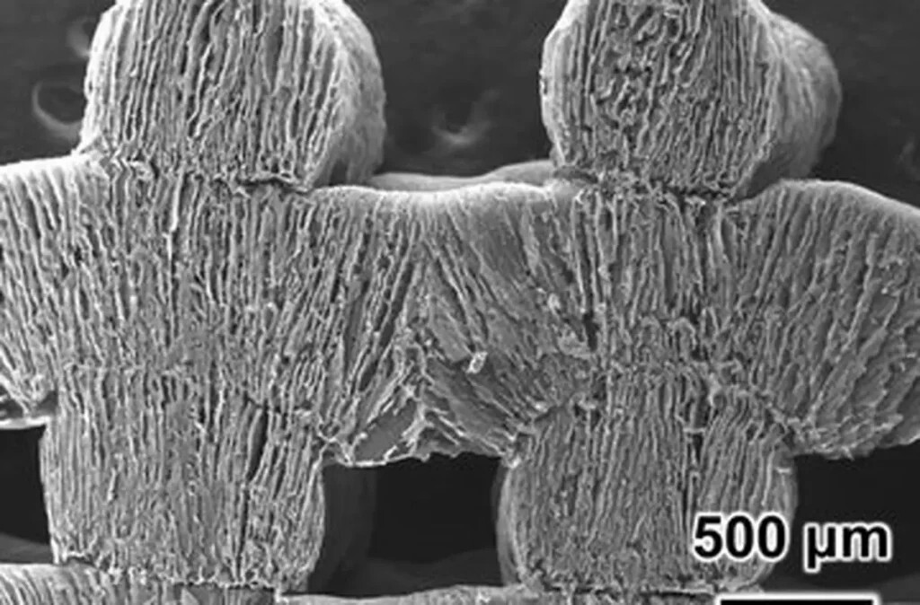 چگونه آب شور دریا را به نوشیدنی گوارا تبدیل کنیم؟! چگونه آب شور دریا را به نوشیدنی گوارا تبدیل کنیم؟!
